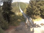 Archiv Foto Webcam Hängebrücke Geierlay bei Mörsdorf 15:00