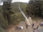 Archiv Foto Webcam Hängebrücke Geierlay bei Mörsdorf 11:00