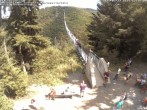 Archiv Foto Webcam Hängebrücke Geierlay bei Mörsdorf 11:00