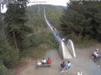 Archiv Foto Webcam Hängebrücke Geierlay bei Mörsdorf 11:00