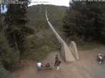 Archiv Foto Webcam Hängebrücke Geierlay bei Mörsdorf 15:00