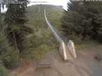 Archiv Foto Webcam Hängebrücke Geierlay bei Mörsdorf 17:00
