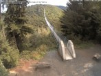 Archiv Foto Webcam Hängebrücke Geierlay bei Mörsdorf 09:00
