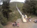 Archiv Foto Webcam Hängebrücke Geierlay bei Mörsdorf 11:00