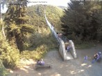 Archiv Foto Webcam Hängebrücke Geierlay bei Mörsdorf 10:00