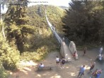 Archiv Foto Webcam Hängebrücke Geierlay bei Mörsdorf 09:00
