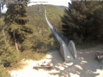 Archiv Foto Webcam Hängebrücke Geierlay bei Mörsdorf 11:00