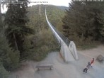 Archiv Foto Webcam Hängebrücke Geierlay bei Mörsdorf 19:00
