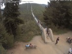 Archiv Foto Webcam Hängebrücke Geierlay bei Mörsdorf 11:00