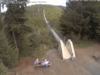 Archiv Foto Webcam Hängebrücke Geierlay bei Mörsdorf 11:00