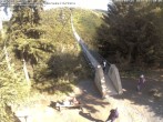 Archiv Foto Webcam Hängebrücke Geierlay bei Mörsdorf 11:00