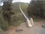 Archiv Foto Webcam Hängebrücke Geierlay bei Mörsdorf 08:00