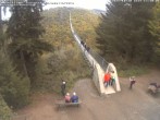 Archiv Foto Webcam Hängebrücke Geierlay bei Mörsdorf 11:00