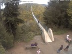 Archiv Foto Webcam Hängebrücke Geierlay bei Mörsdorf 13:00