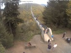 Archiv Foto Webcam Hängebrücke Geierlay bei Mörsdorf 11:00