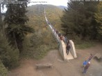 Archiv Foto Webcam Hängebrücke Geierlay bei Mörsdorf 13:00