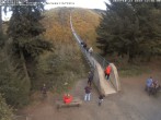 Archiv Foto Webcam Hängebrücke Geierlay bei Mörsdorf 11:00