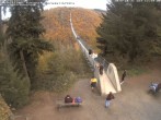 Archived image Webcam Geierlay Suspension Bridge Mörsdorf 11:00