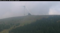 Archiv Foto Webcam Lachtal: Schönberg 11:00