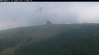 Archiv Foto Webcam Lachtal: Schönberg 11:00