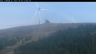 Archiv Foto Webcam Lachtal: Schönberg 11:00