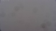 Archiv Foto Webcam Sicht auf Rosskogel in Oberperfuss, Tirol 11:00