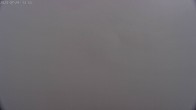 Archiv Foto Webcam Sicht auf Rosskogel in Oberperfuss, Tirol 11:00