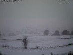 Archived image Webcam Schopfheim - View to Gersbach 15:00