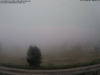 Archiv Foto Webcam Schopfheim - Blick über Gersbach 11:00