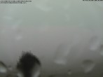 Archiv Foto Webcam Schopfheim - Blick über Gersbach 05:00
