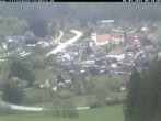 Archived image Webcam Black Forest: Altglashütten 07:00