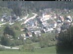 Archived image Webcam Black Forest: Altglashütten 09:00