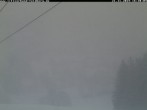 Archiv Foto Webcam Schwarzwald Altglashütten 15:00