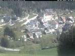 Archiv Foto Webcam Schwarzwald Altglashütten 09:00