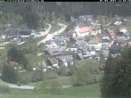 Archiv Foto Webcam Schwarzwald Altglashütten 11:00