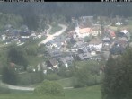 Archiv Foto Webcam Schwarzwald Altglashütten 11:00