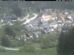Archiv Foto Webcam Schwarzwald Altglashütten 11:00