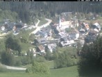 Archiv Foto Webcam Schwarzwald Altglashütten 09:00