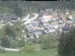 Archiv Foto Webcam Schwarzwald Altglashütten 11:00
