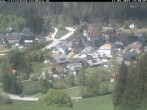 Archiv Foto Webcam Schwarzwald Altglashütten 13:00