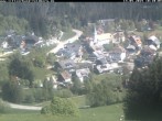 Archiv Foto Webcam Schwarzwald Altglashütten 09:00