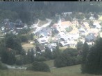 Archiv Foto Webcam Schwarzwald Altglashütten 11:00