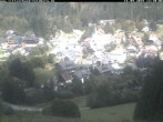 Archiv Foto Webcam Schwarzwald Altglashütten 11:00