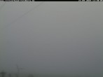 Archiv Foto Webcam Schwarzwald Altglashütten 11:00