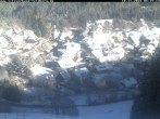 Archived image Webcam Black Forest: Altglashütten 08:00