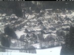 Archiv Foto Webcam Schwarzwald Altglashütten 10:00
