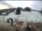 Archiv Foto Webcam Feldberg - Grafenmatt 11:00