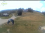Archiv Foto Webcam Feldberg - Grafenmatt 11:00