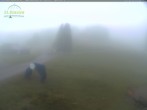 Archiv Foto Webcam Feldberg - Grafenmatt 05:00