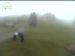 Archiv Foto Webcam Feldberg - Grafenmatt 06:00